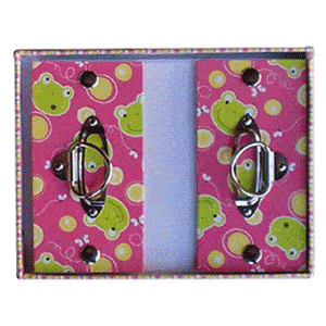 Colorful Frog Stationary Box