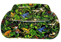 Frog Two Piece Tray Set