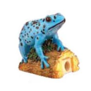 Blue Poison Arrow Frog Pencil Sharpener