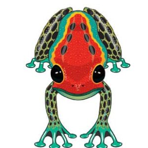 poison dart frog kite