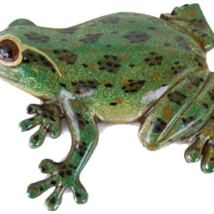 Green, Glossy, Frog Magnet