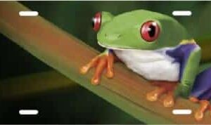 Frog On A Branch License Plate