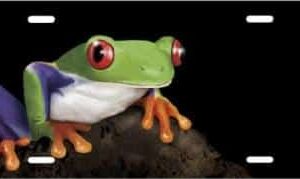 Frog on a rock License Plate