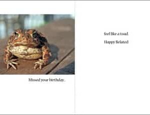 Missed Your Birthday