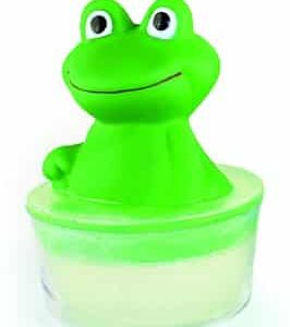 Green Frog Soap Buddy